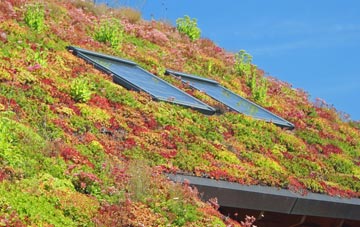 Wimborne Minster living roof systems