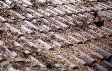 Wimborne Minster roof cleaning companies