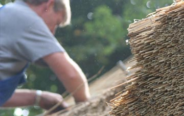 professional Wimborne Minster thatchers