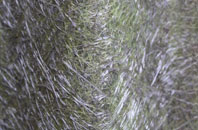 Wimborne Minster fibreglass roof work